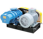 3LWD-250羅茨風(fēng)機(jī)